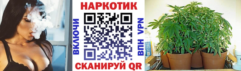 Купить ГАШ  Каннабис  МЕФ  Покров