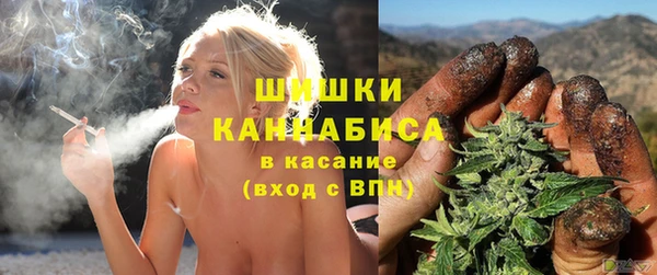 apvp Богородицк