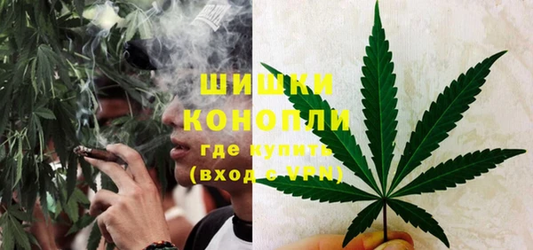 apvp Богородицк