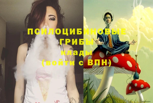 apvp Богородицк