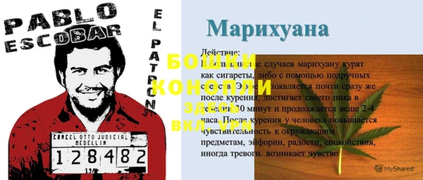 mdpv Богородск