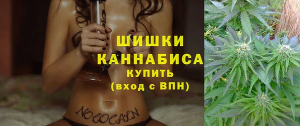 apvp Богородицк