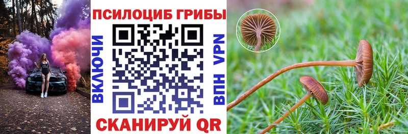 Псилоцибиновые грибы прущие грибы  Купить  Покров 